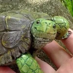 Meet your Posher, Aj